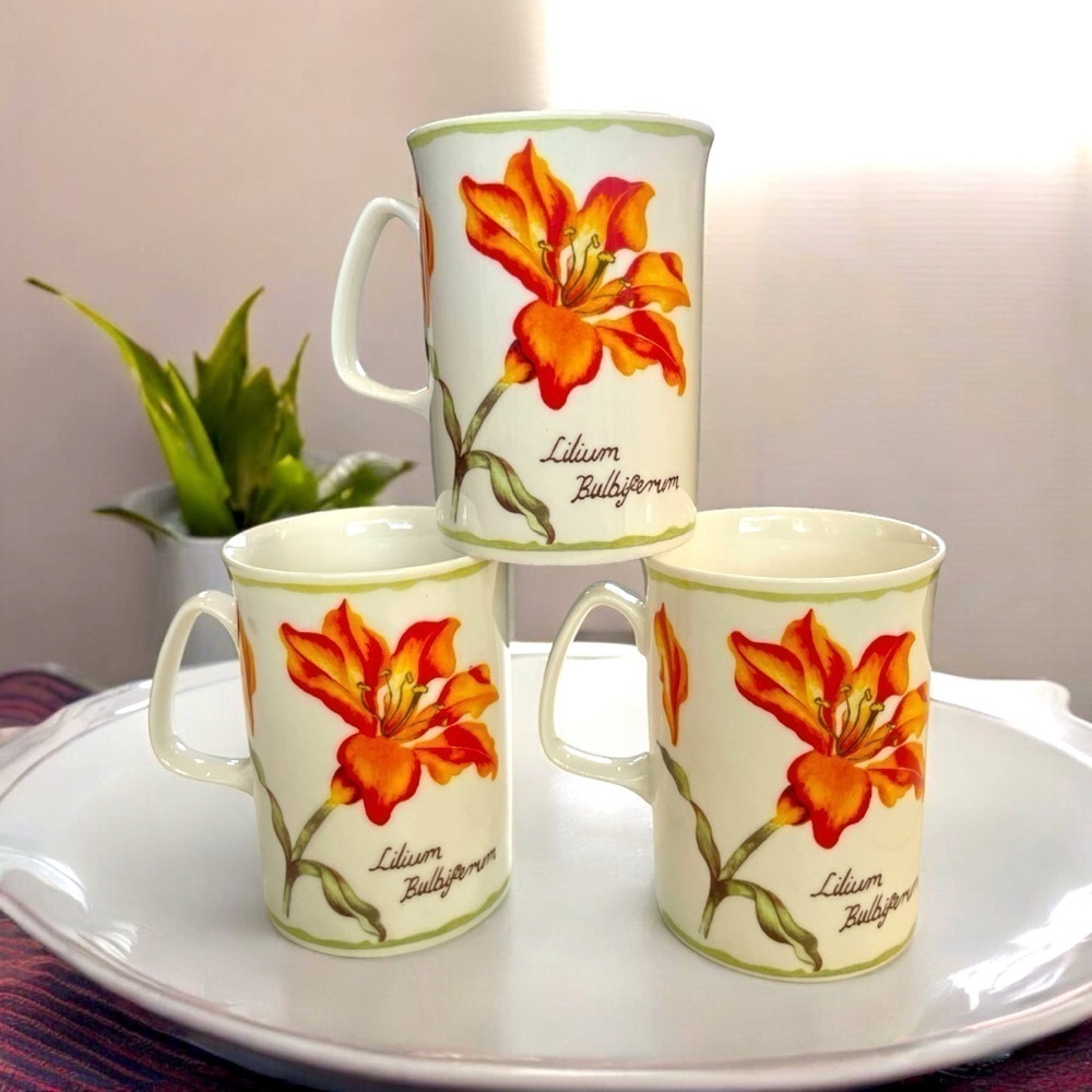 3 Rose of England Fine Bone China Lilium Bulbiferum Tea Cups Mug Porcelain
